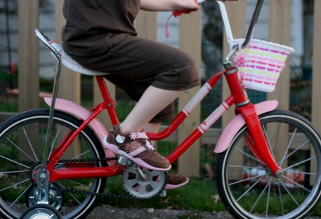 strawberry-bike